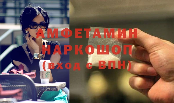 индика Балахна